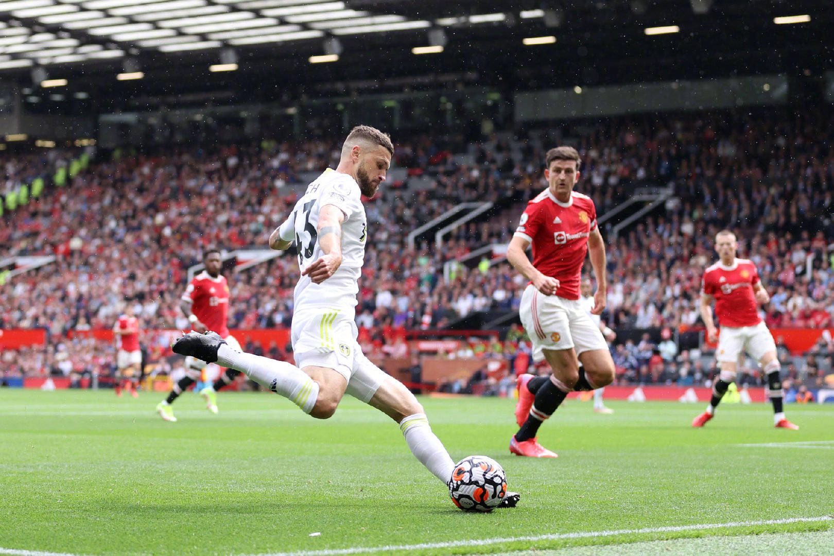 或许会成为 或许会成为